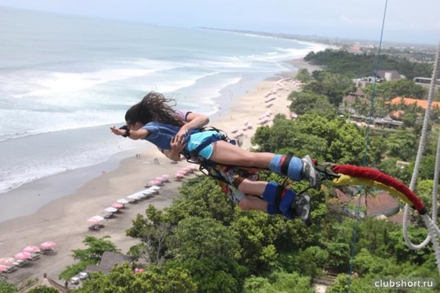 22741_bungy2.jpg